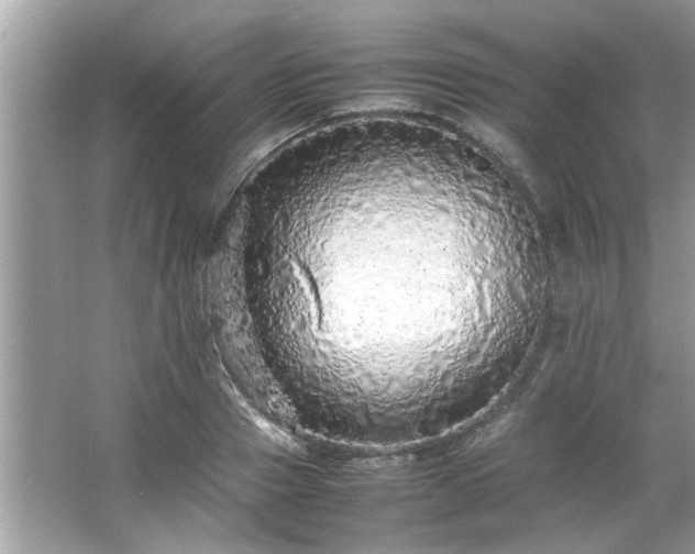 X0000066940937200603271133