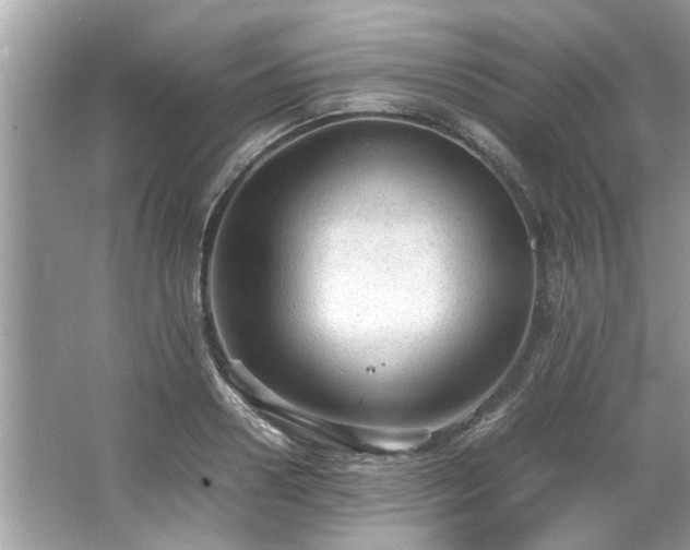 X0000066940938200603271133