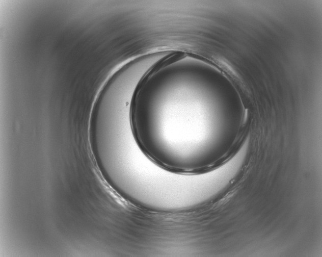 X0000066940940200603271133