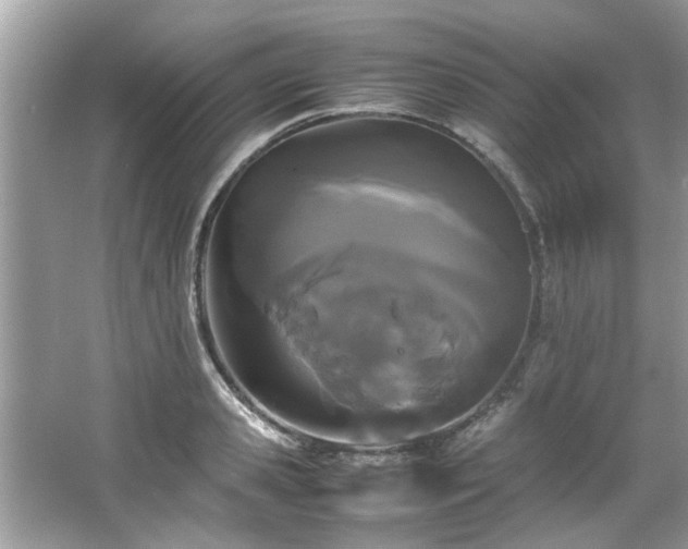 X0000066940941200603271133