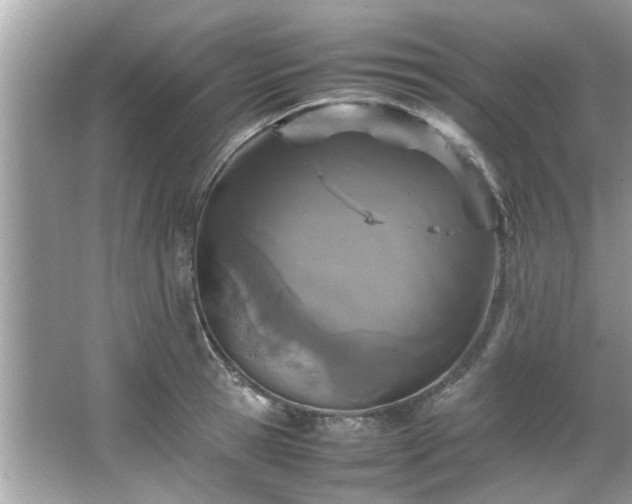 X0000066940945200603271133