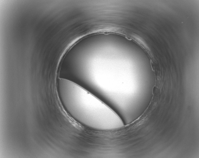 X0000066940948200603271133