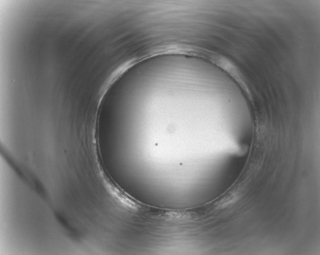 X0000066940954200603271133