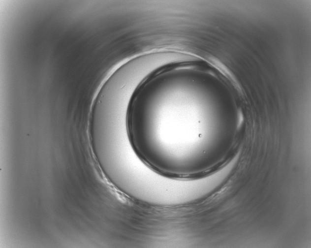 X0000066940956200603271133