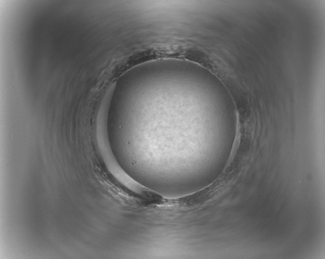 X0000066940961200603271133