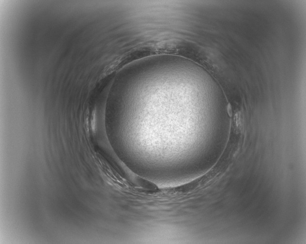 X0000066940963200603271133