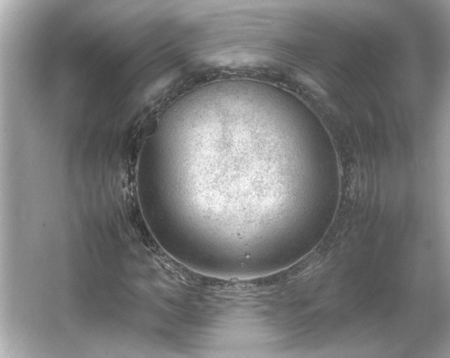 X0000066940966200603271133