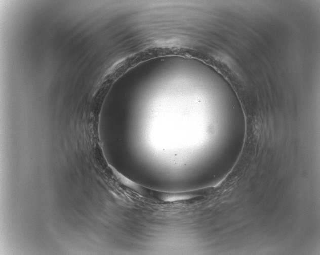 X0000066940968200603271133