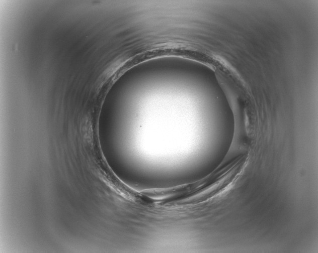 X0000066940969200603271133