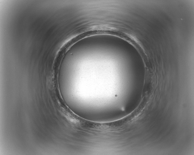 X0000066940971200603271133