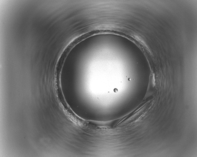 X0000066940976200603271132