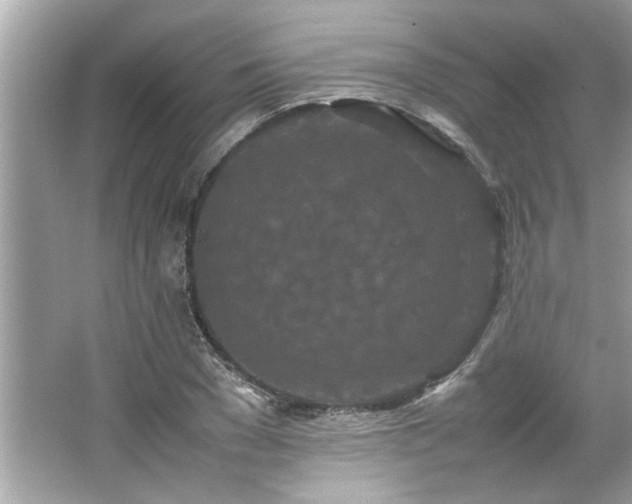 X0000066940977200603271132