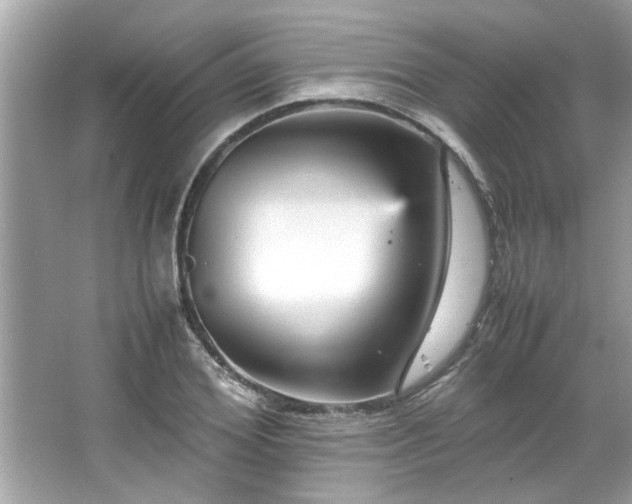 X0000066940980200603271132