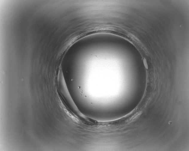 X0000066940985200603271132