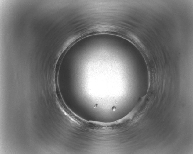 X0000066940986200603271132