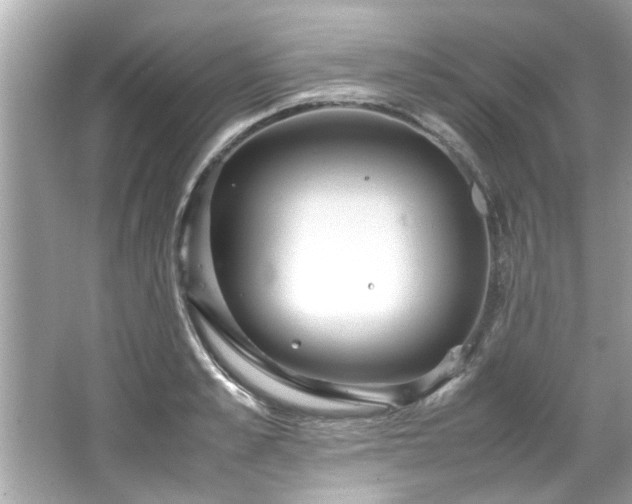 X0000066940989200603271132