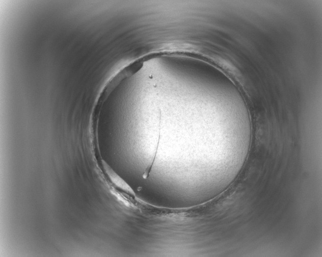 X0000066940990200603271132