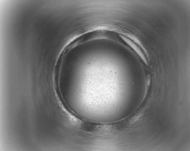 X0000066940991200603271132