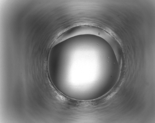 X0000066940993200603271132