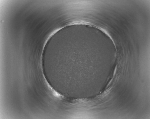 X0000066940995200603271132