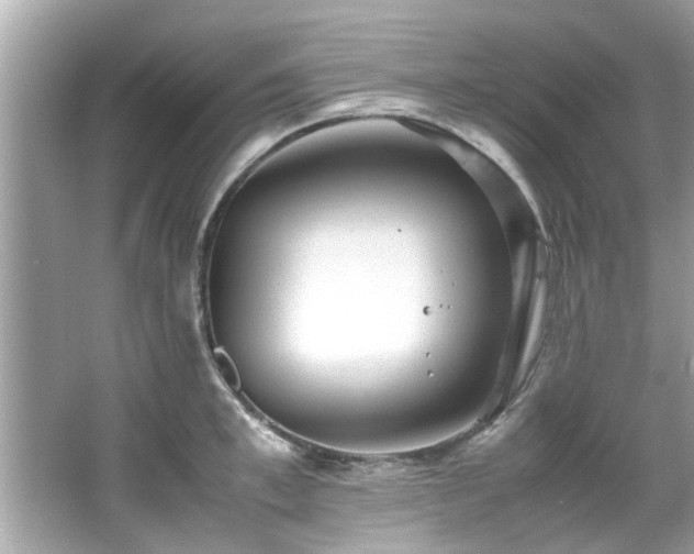 X0000066940997200603271132