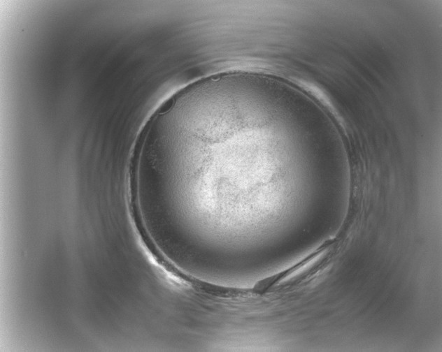 X0000066940999200603271132