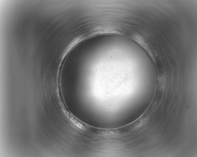 X0000066941002200603271132