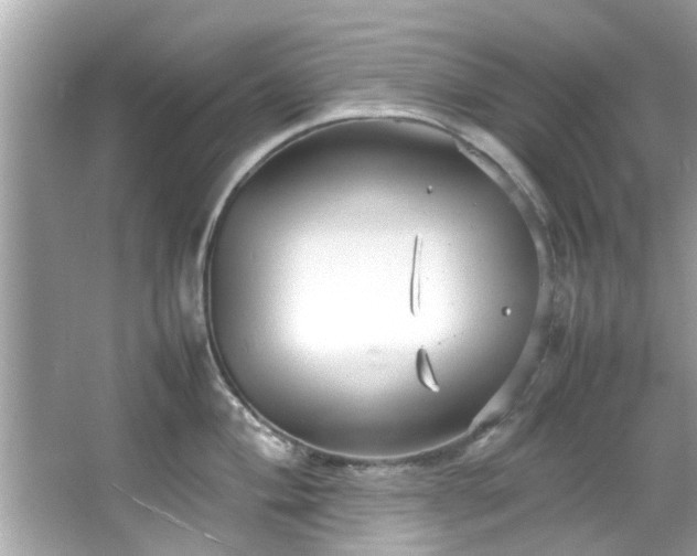 X0000066941004200603271132