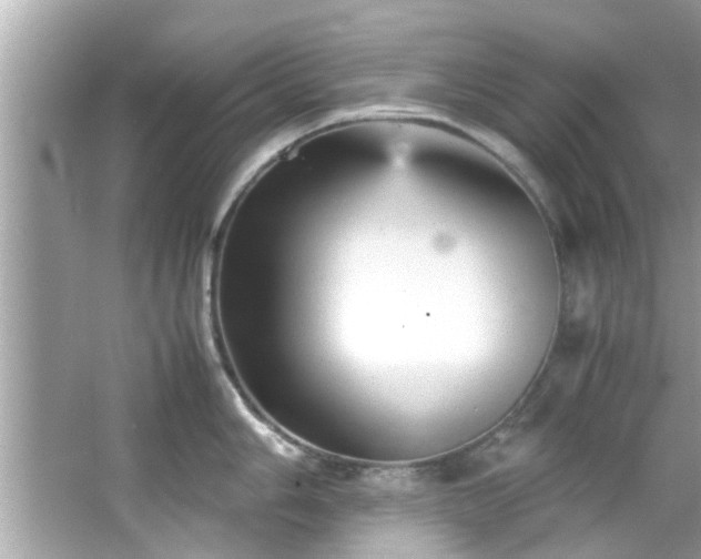 X0000066941006200603271132