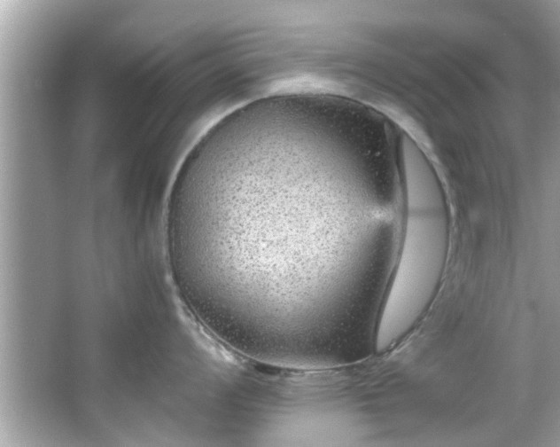 X0000066941008200603271132