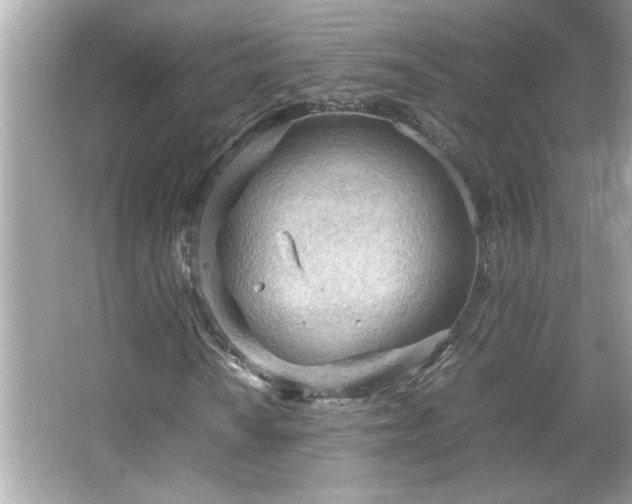 X0000066941010200603271131