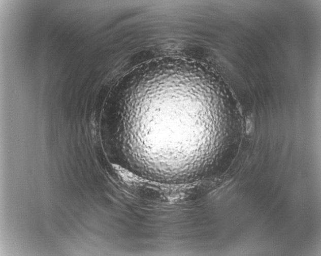 X0000066941011200603271131