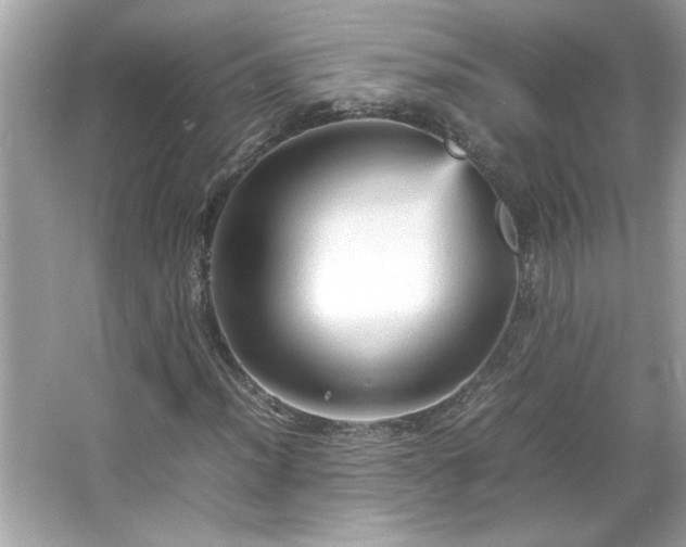 X0000066941012200603271131