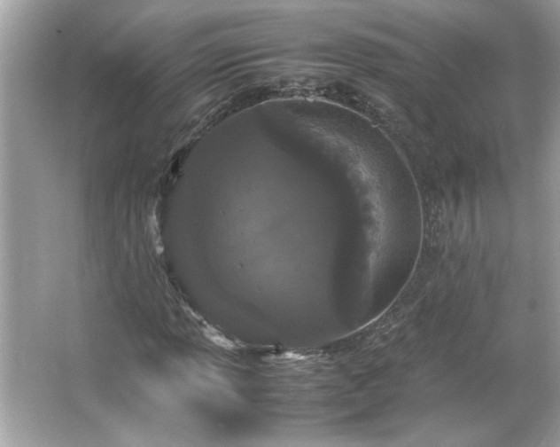 X0000066941013200603271131