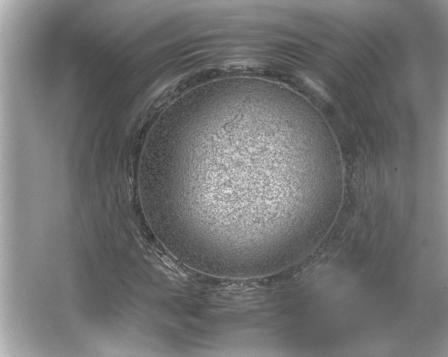 X0000066941015200603271131