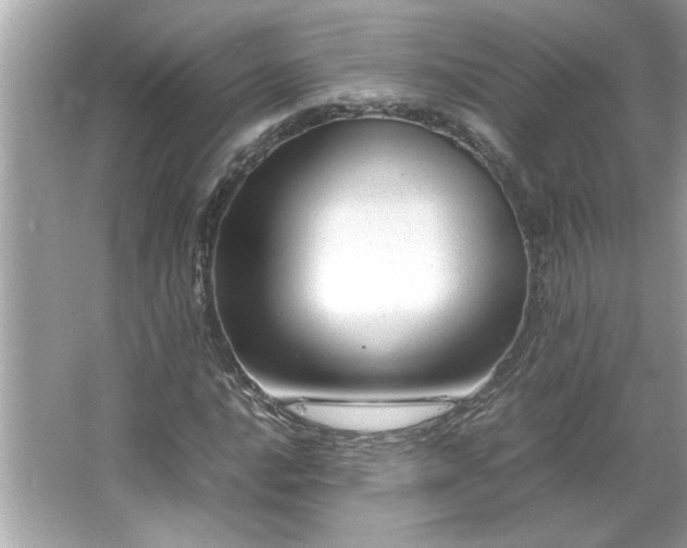 X0000066941016200603271131