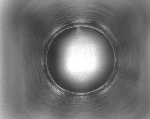 X0000066941017200603271131