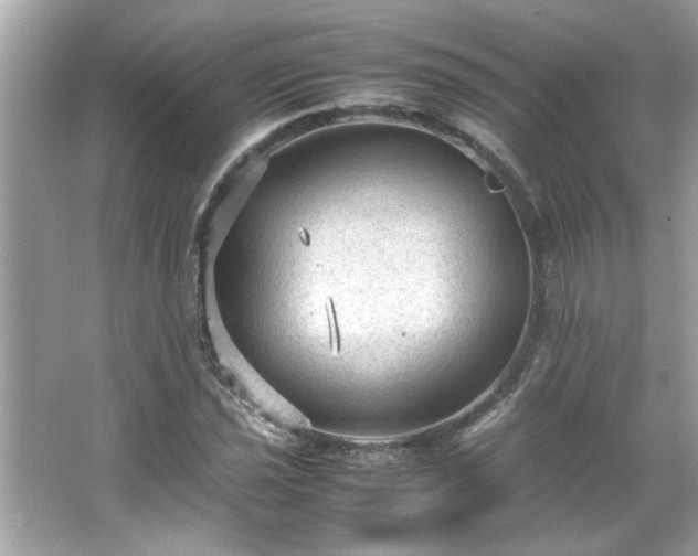 X0000066941021200603271131