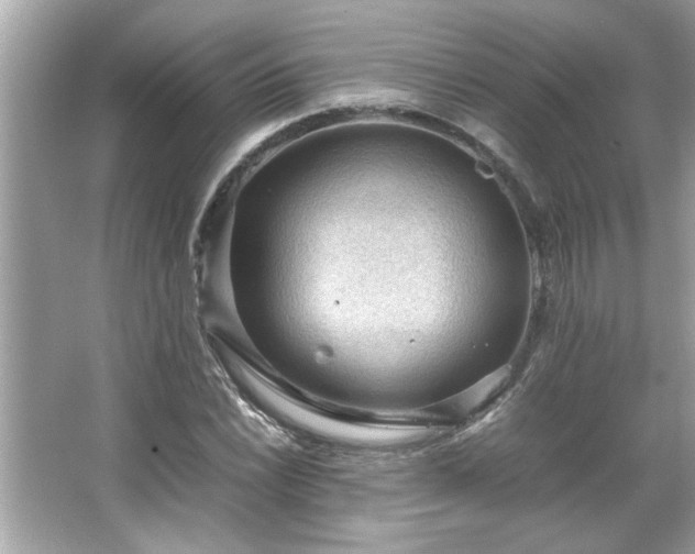 X0000066941022200603271131