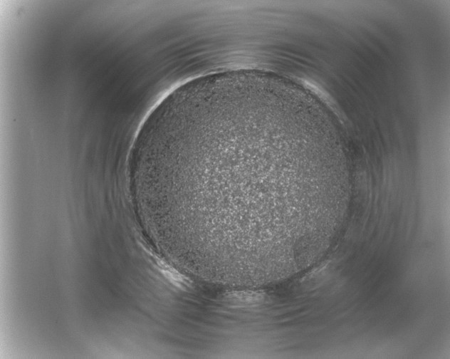 X0000066941023200603271131