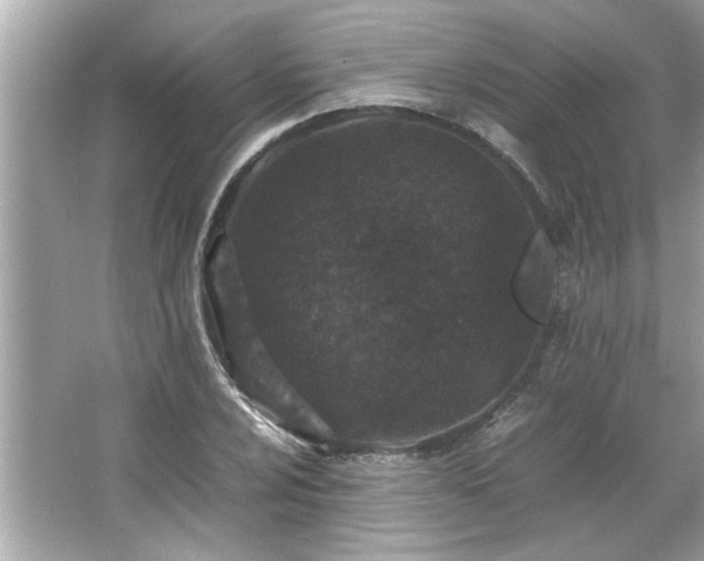 X0000066941024200603271131