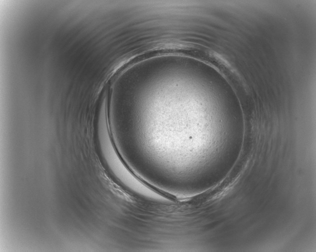 X0000066941025200603271131