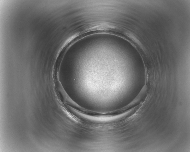 X0000066941026200603271131