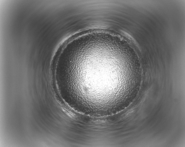 X0000066941027200603271131