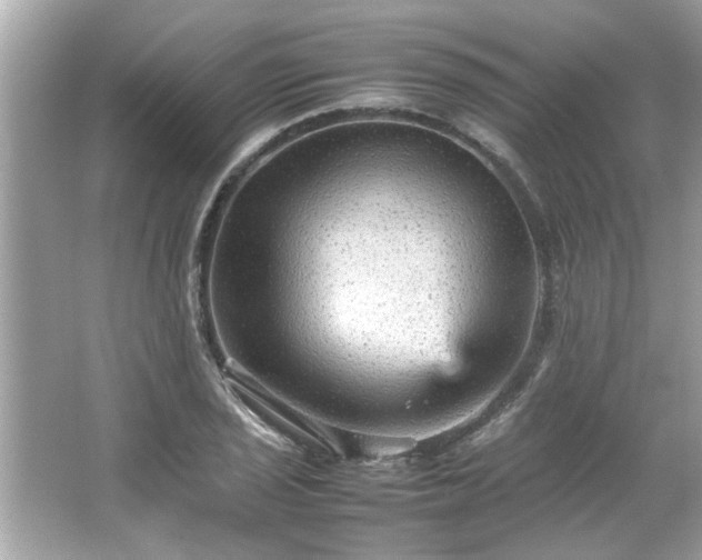 X0000066941029200603271131