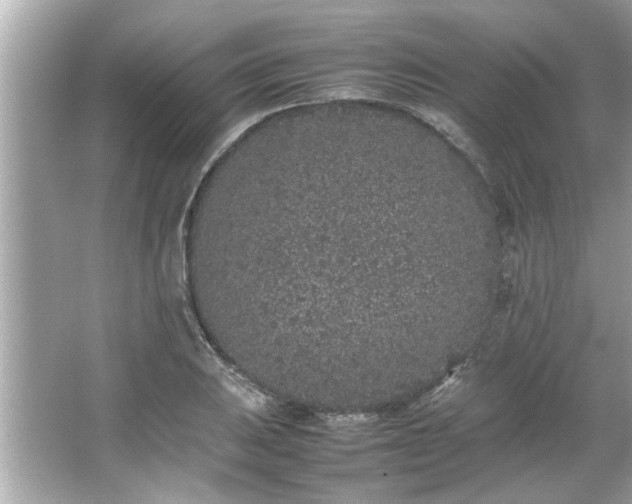 X0000066941031200603271131