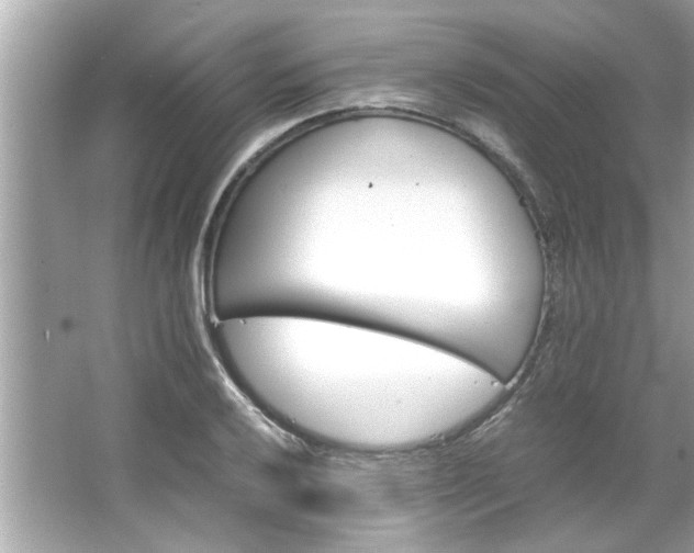 X0000066941032200603271131