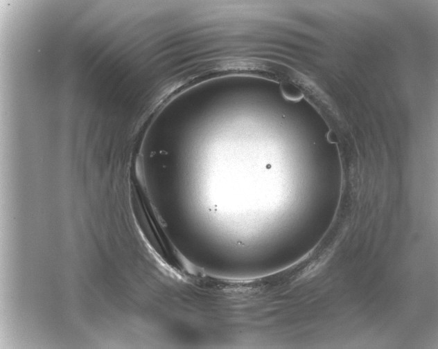 X0000066941033200603271131