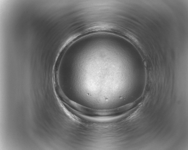 X0000066941034200603271131