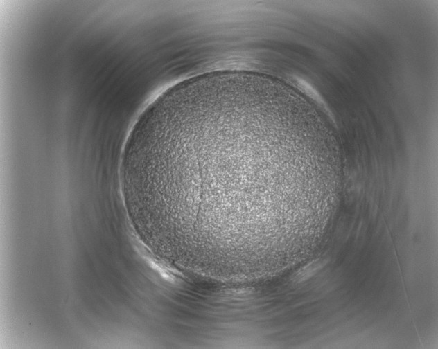 X0000066941035200603271132